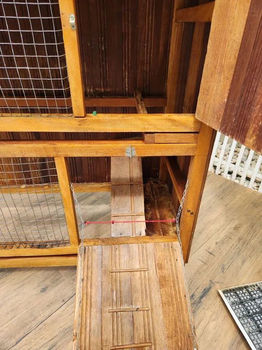 Viveiro para Coelhos e Chinchilas  - Foto 3