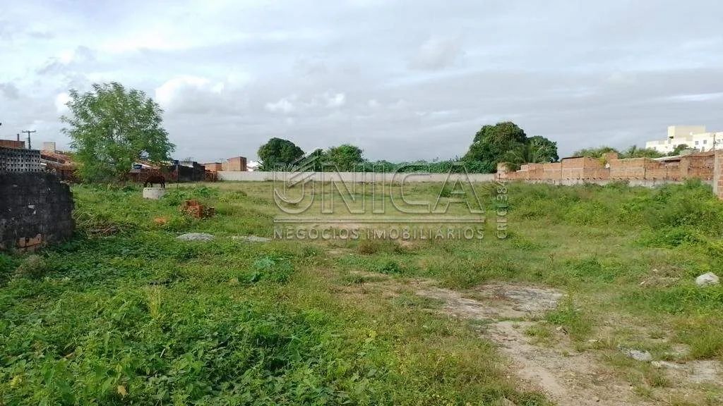 Alugue Terreno no Rosa Elze - Foto 3