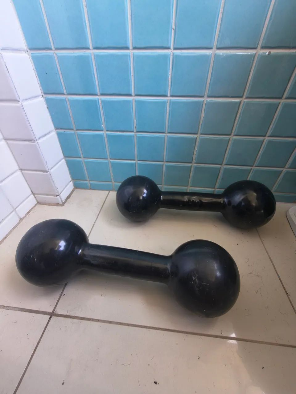 HALTERES 10KG NOVOS