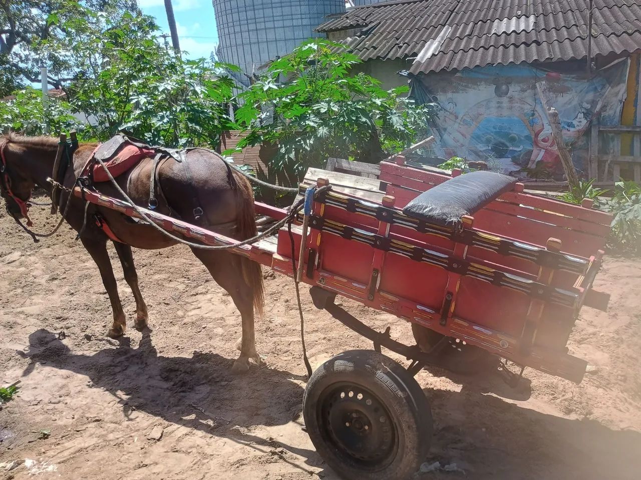 Vendo égua e carroça  - Foto 3