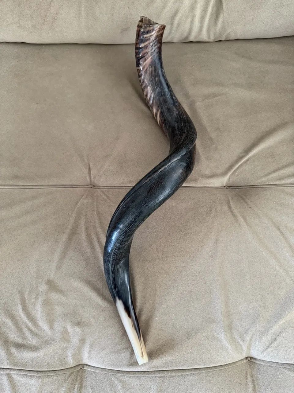 SHOFAR  - Foto 5