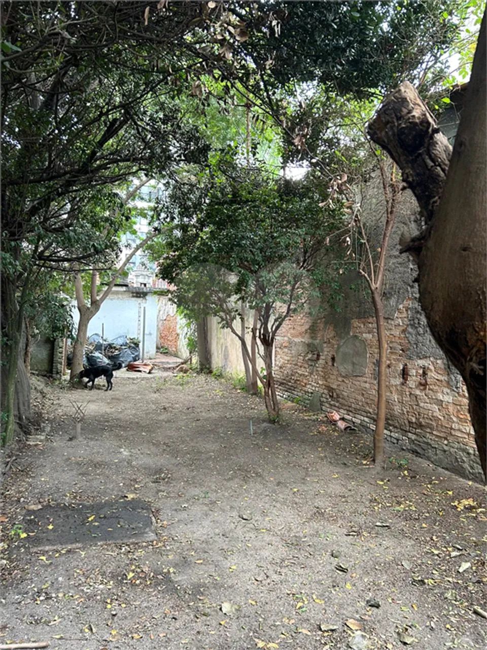 Terreno à venda ou para locação em Perdizes - SP - Foto 4