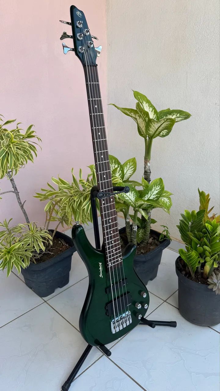 Baixo Strinberg 5c - Foto 5