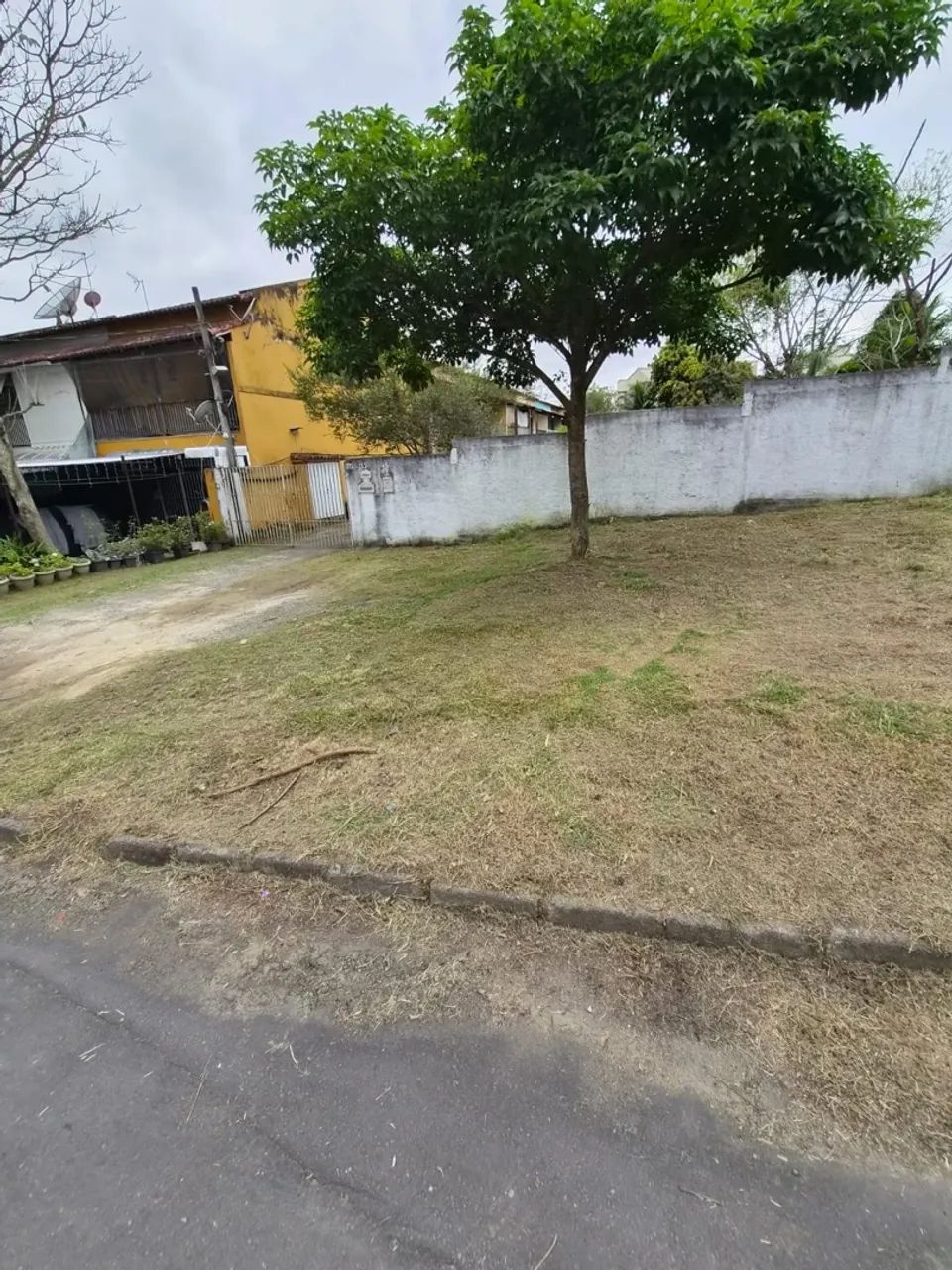 LIMPEZA DE TERRENO  - Foto 2