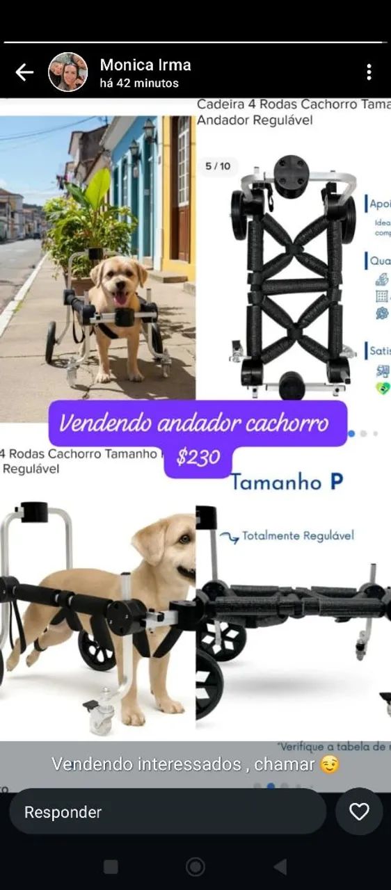 Andador para cachorro  - Foto 2