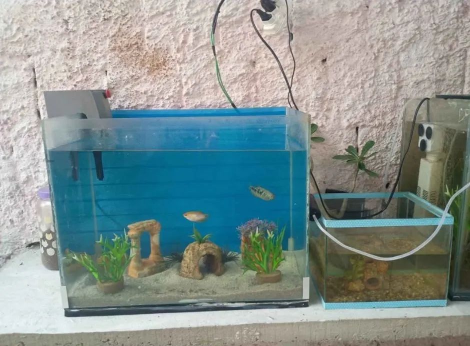 Aquário 50Lts  - Foto 3