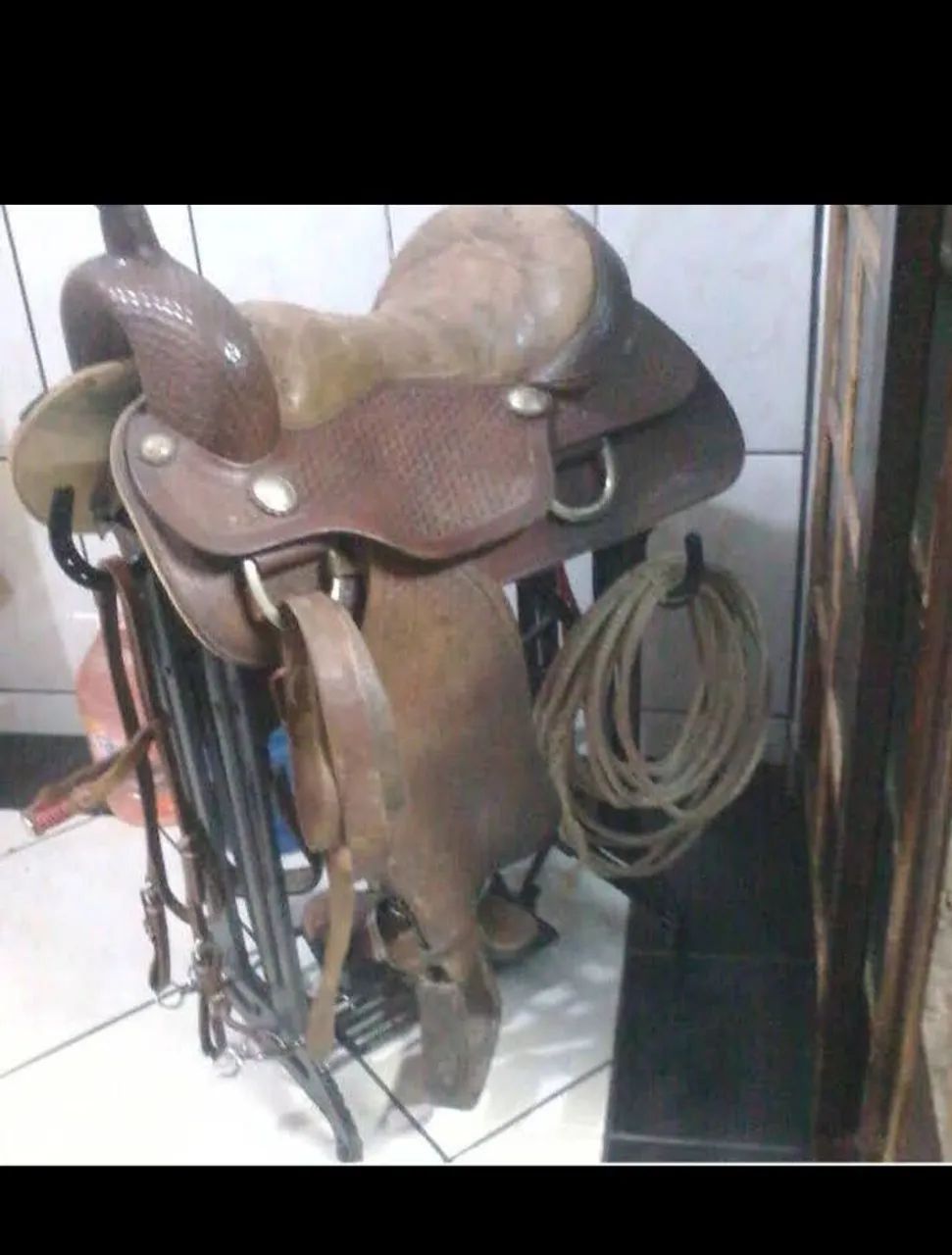 Cela para cavalo