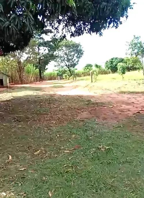 Pecuária - Área Rural 6 Alqueires - Foto 4