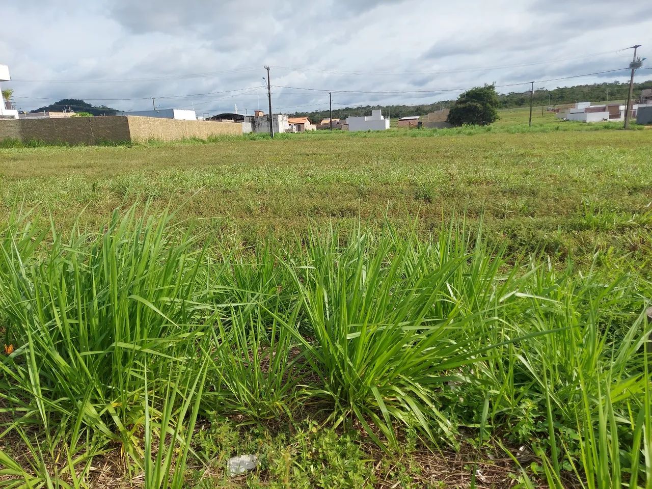Venda de um terreno - Foto 2
