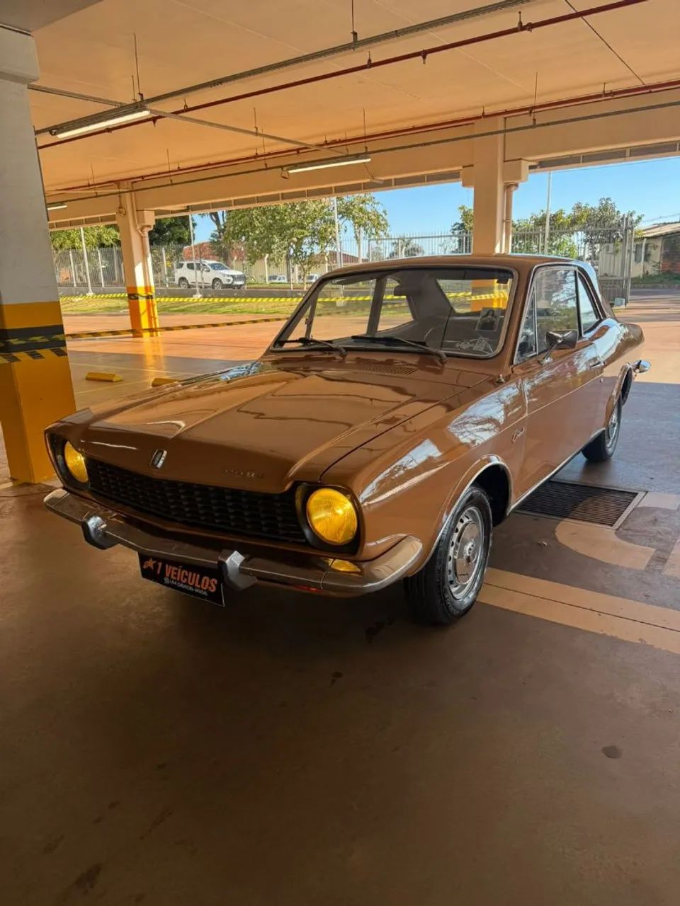 Corcel relíquia  - Foto 2