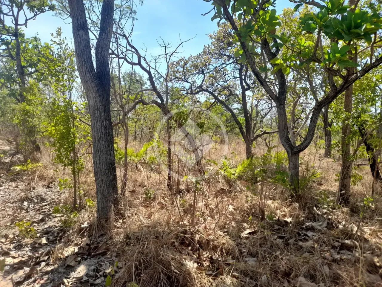 Fazenda com 1.070 alqueires à venda em Rio Sono-TO codigo: 351938 - Foto 2