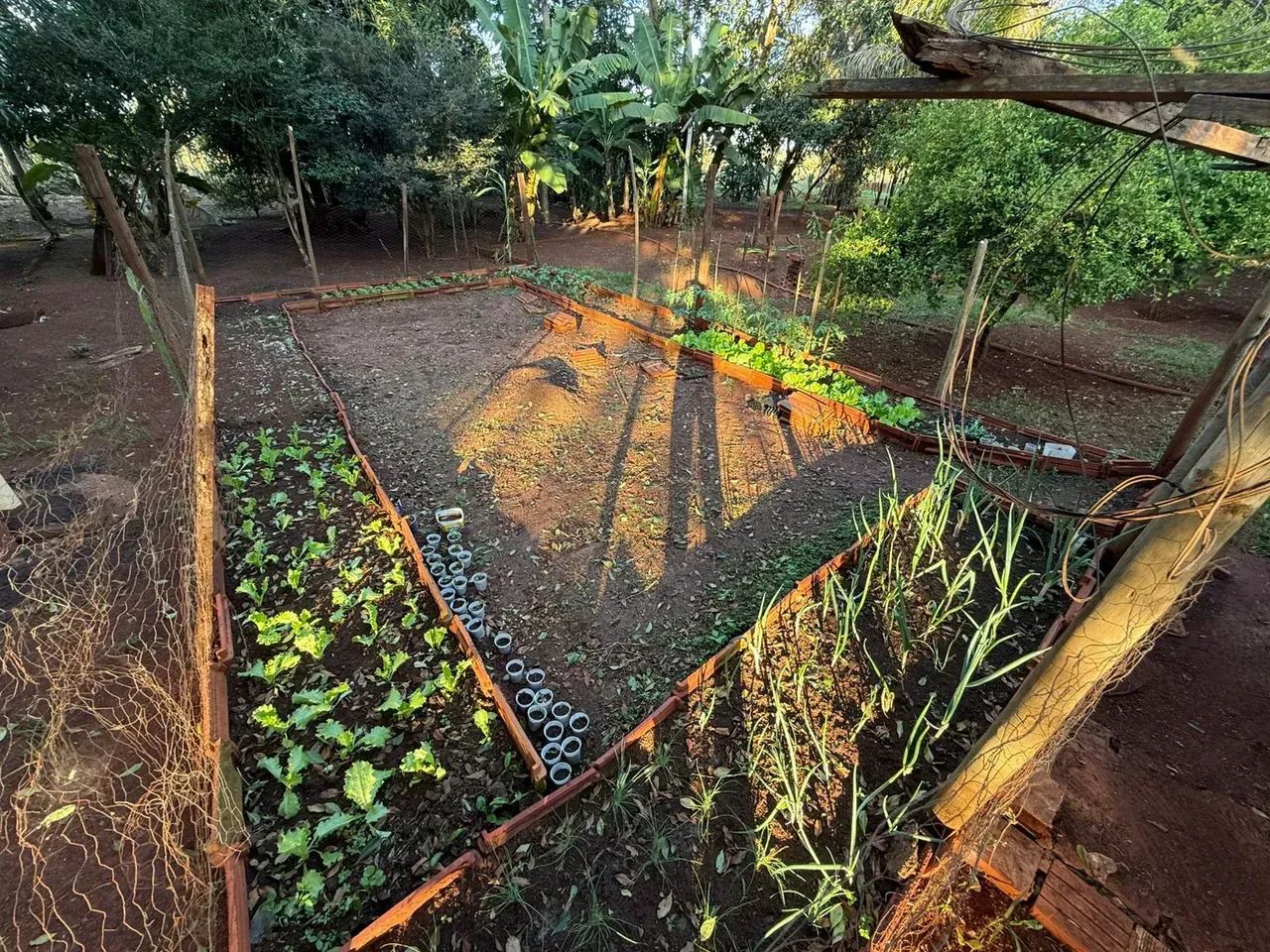 CÓD. 501  Chácara à venda com 31,9 hectares em Sidrolândia/MS - Foto 5