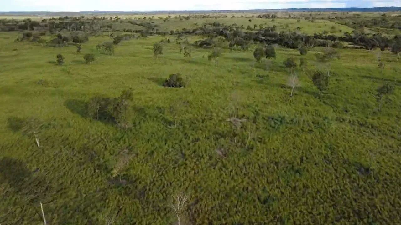 FAZENDA A VENDA - Foto 3
