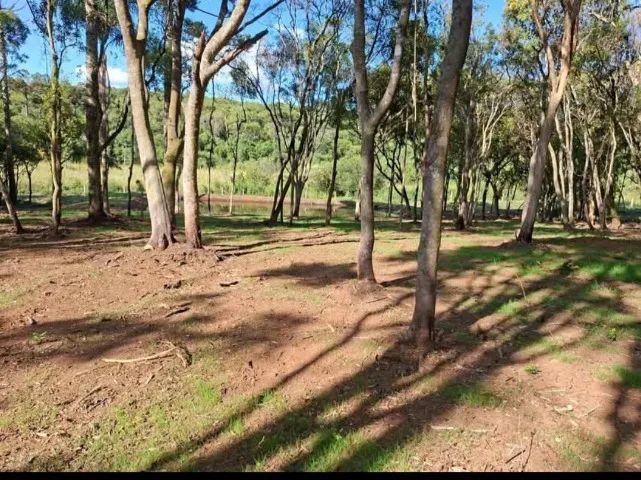 Chacara Rio negro 27.500m2 - Foto 2