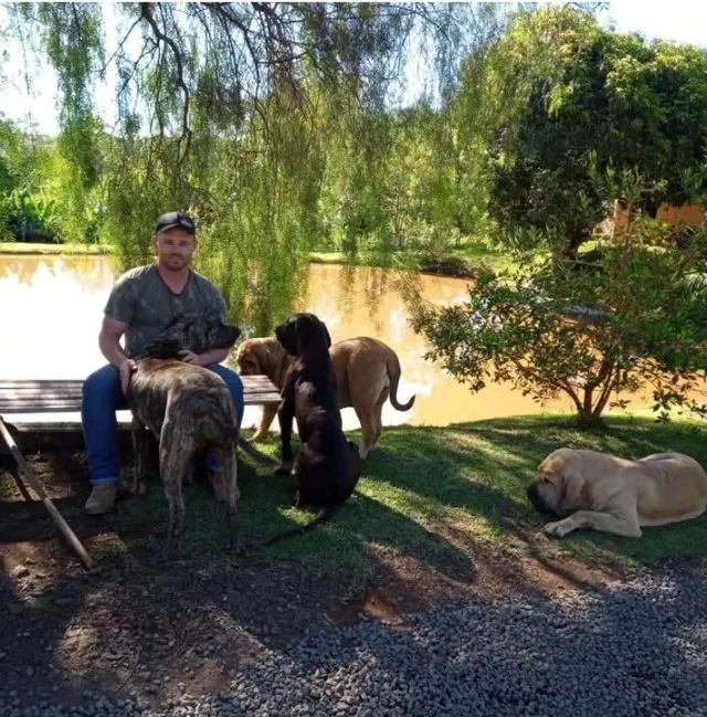 fila brasileiro - Foto 3