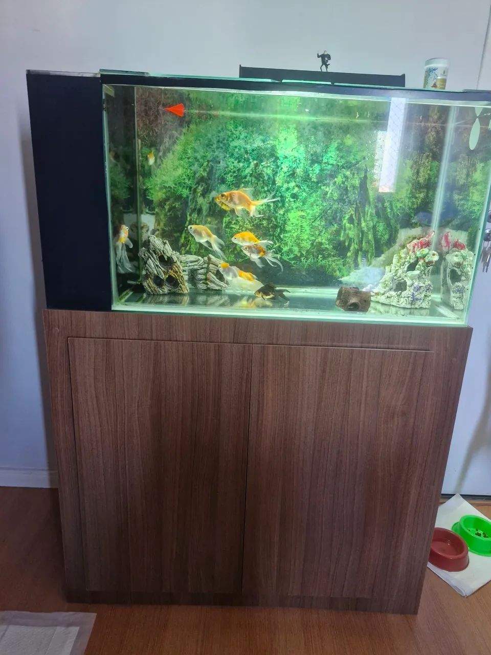 Aquário com armário planejado  - Foto 5