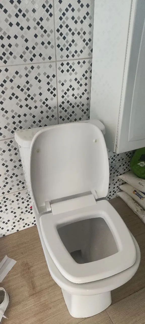 Sanitário fiori completo 446520301202984961