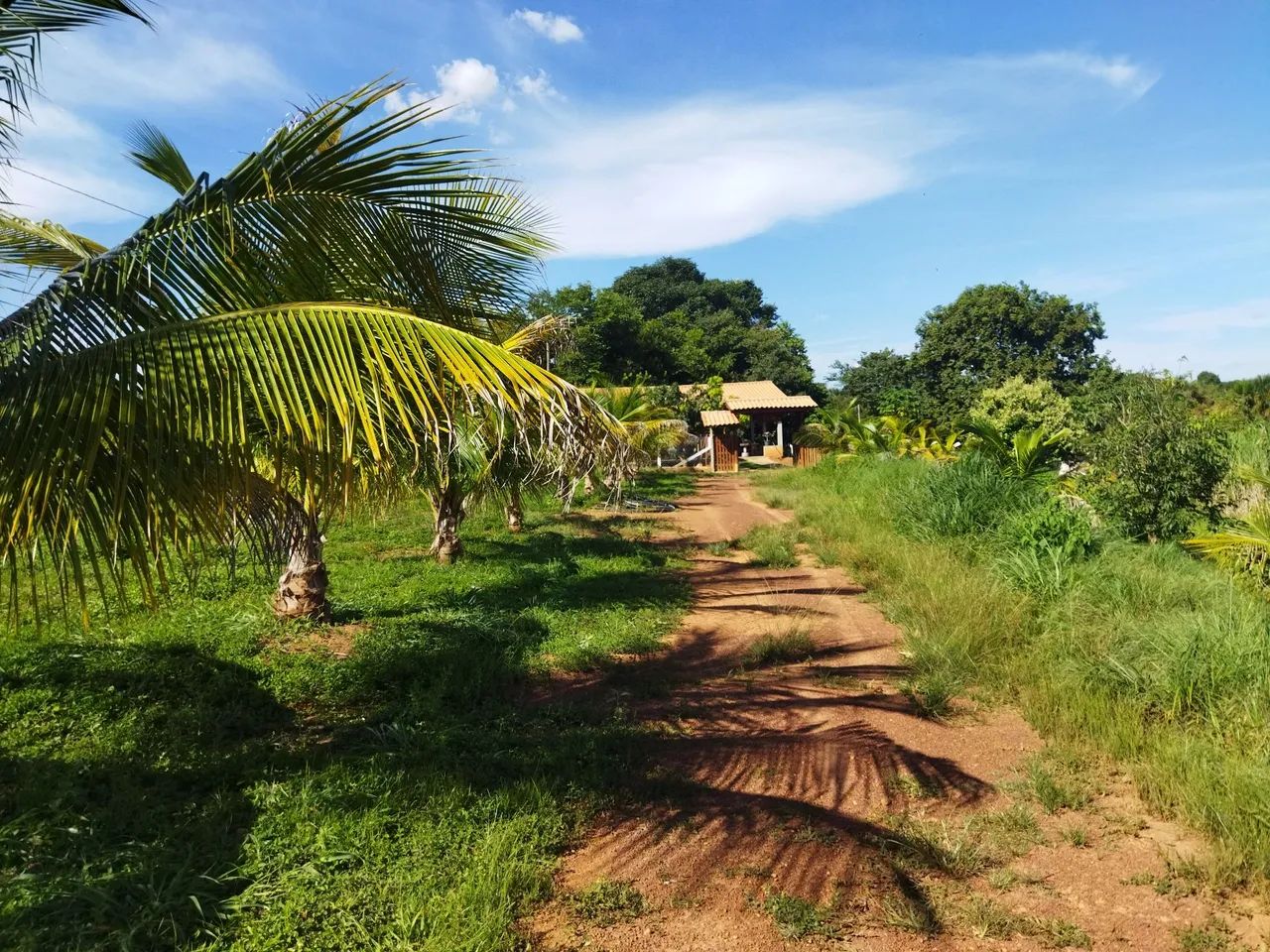Chácara a venda  - Foto 4