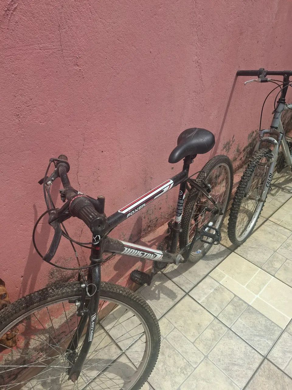 Bicicleta ? 