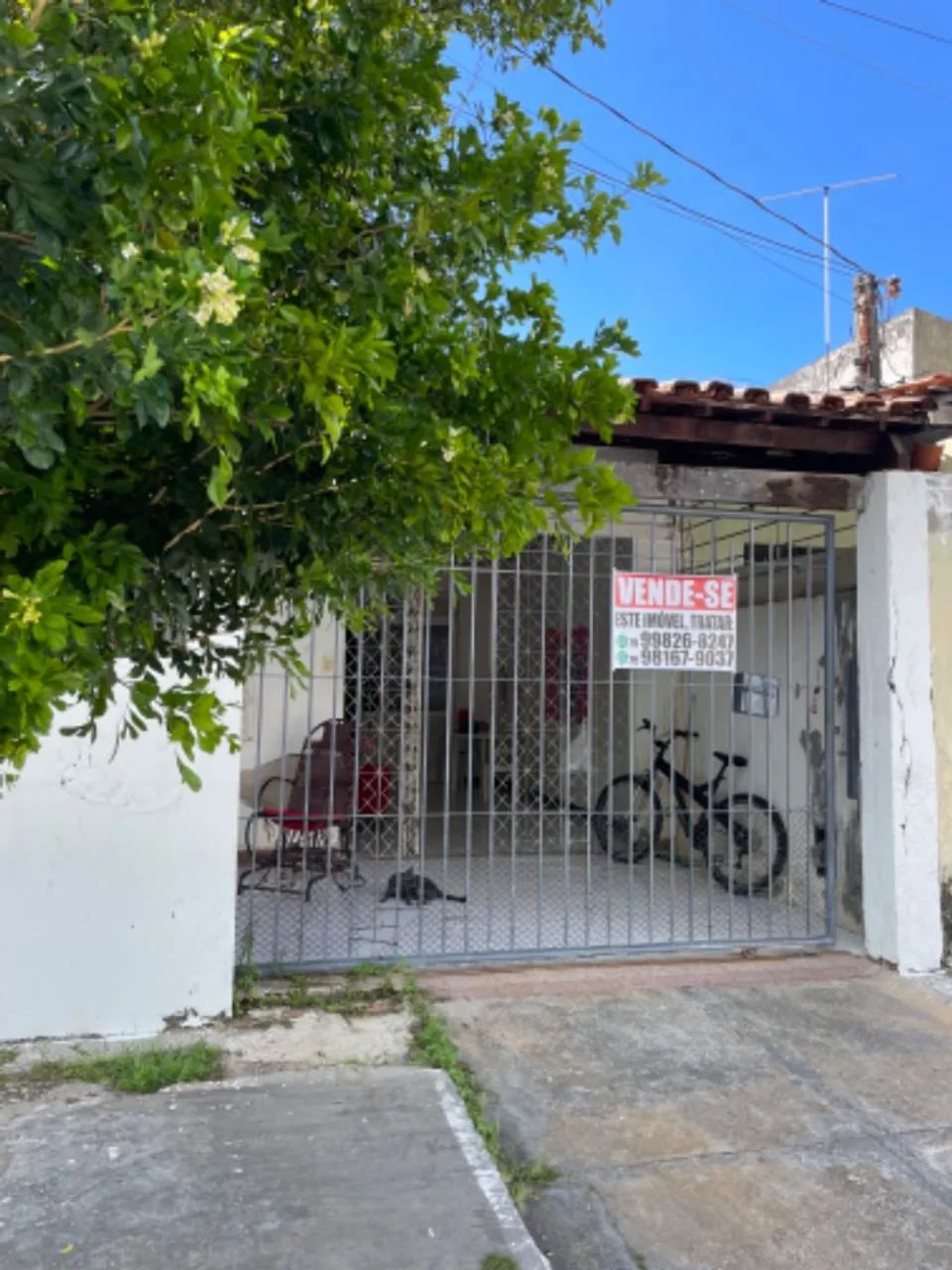 Foto - Aracaju - Jabotiana