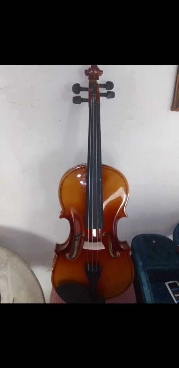 Violino