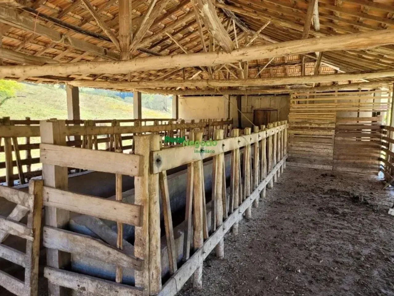SÍTIO FORMADO COM ESTRUTURA PARA LEITE OU CORTE EM LORENA-SP - Foto 5