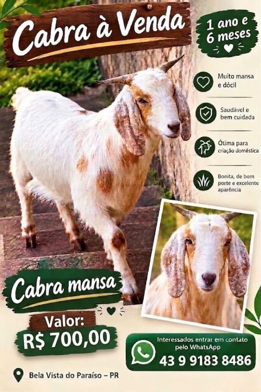 Cabra
