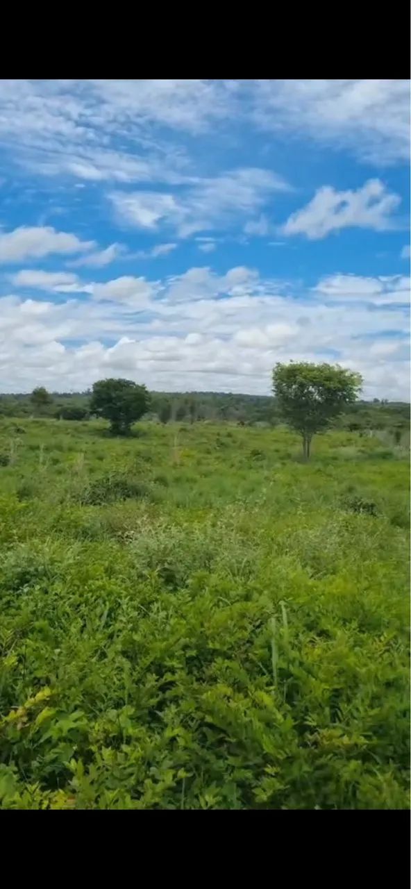 Venda - Foto 4