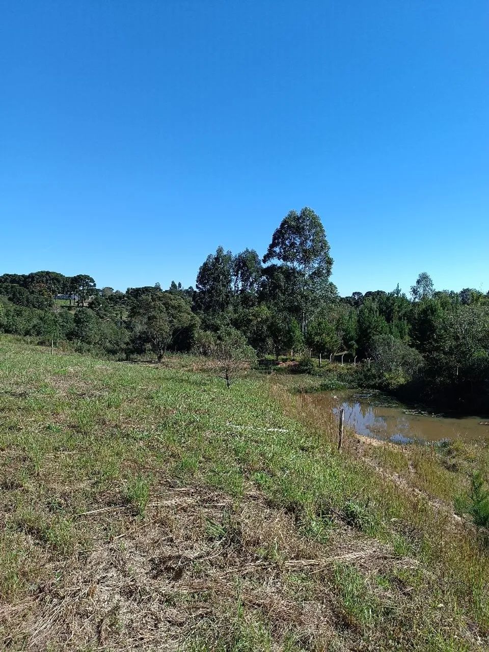 Terreno pra chácara  - Foto 3