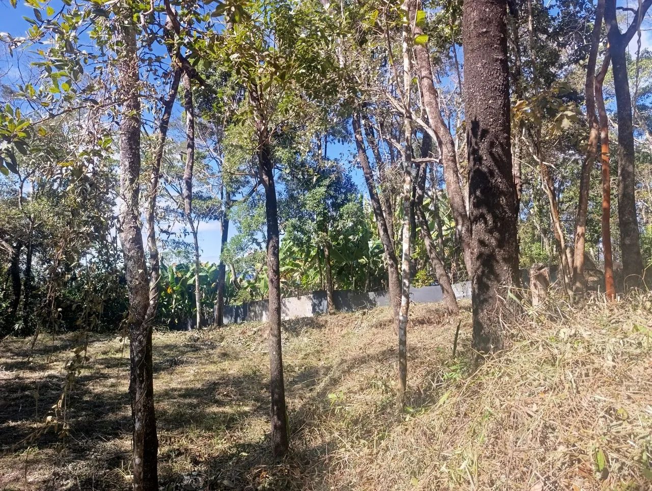 Terreno 1000 M² - Foto 2