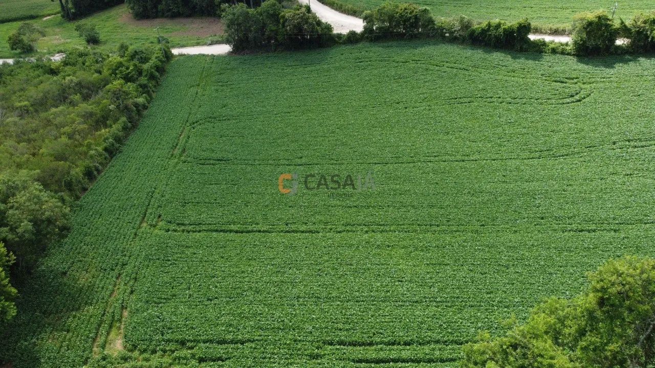TERRENO RESIDENCIAL em Balsa Nova - PR, Bugre - Foto 5