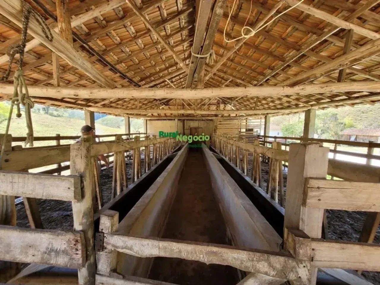 SÍTIO FORMADO COM ESTRUTURA PARA LEITE OU CORTE EM LORENA-SP - Foto 3