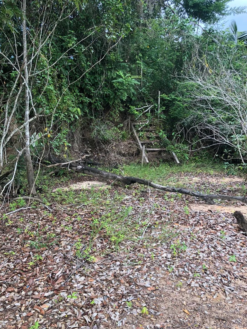 Terreno na beira da praia - Foto 2