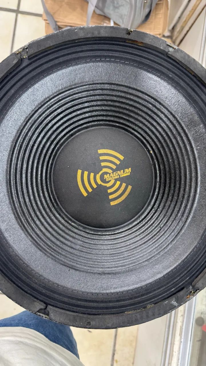 Par Alto falante Magnum 15 polegadas 500W RMS - Foto 3