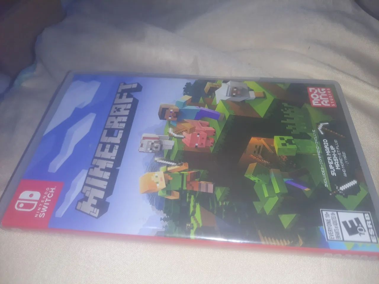 Minecraft nintendo switch 