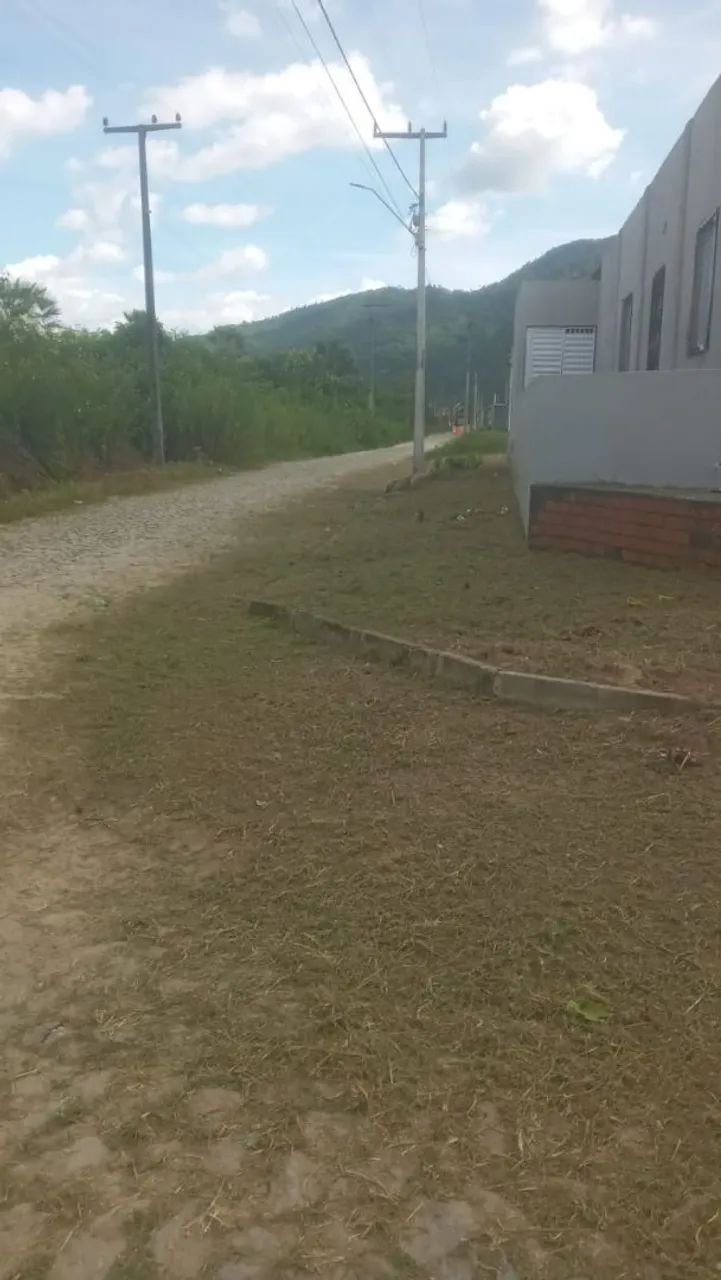 Limpeza de terreno  - Foto 3