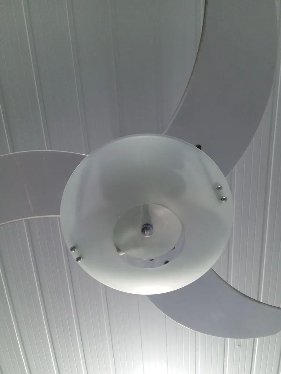 Ventilador de teto