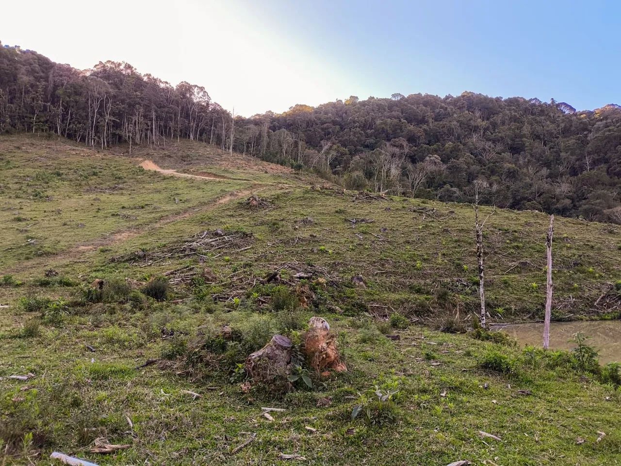 Terreno em Anitápolis de 20000 m² - Foto 3