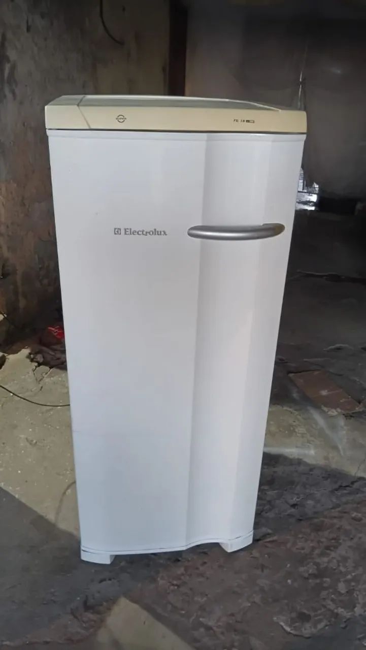 Freezer vertical