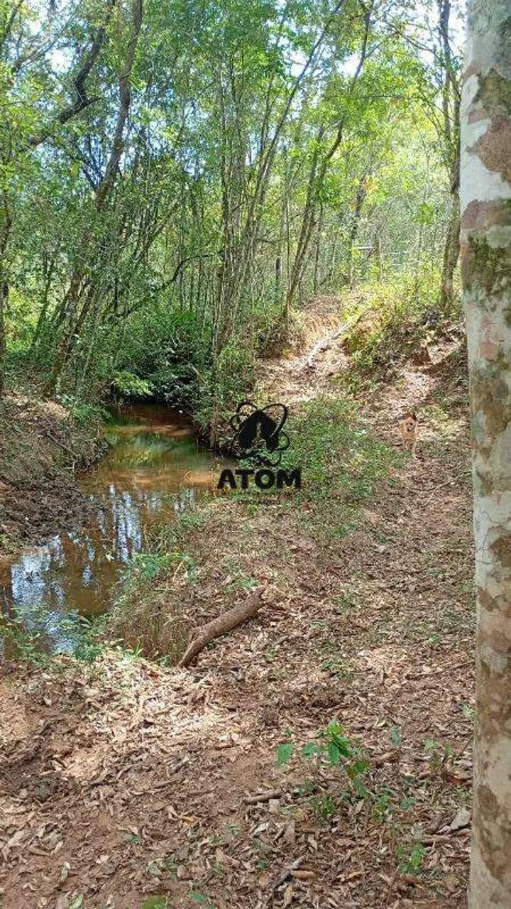 Sítio com 2 alqueires em Lagoinha - Foto 2