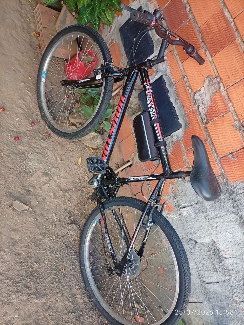 Bicicleta 
