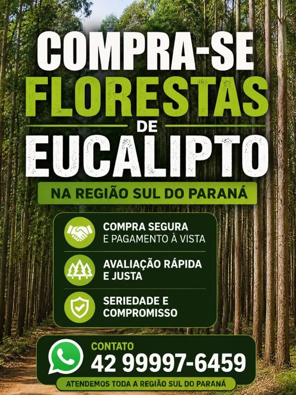 Florestas de eucalipto 