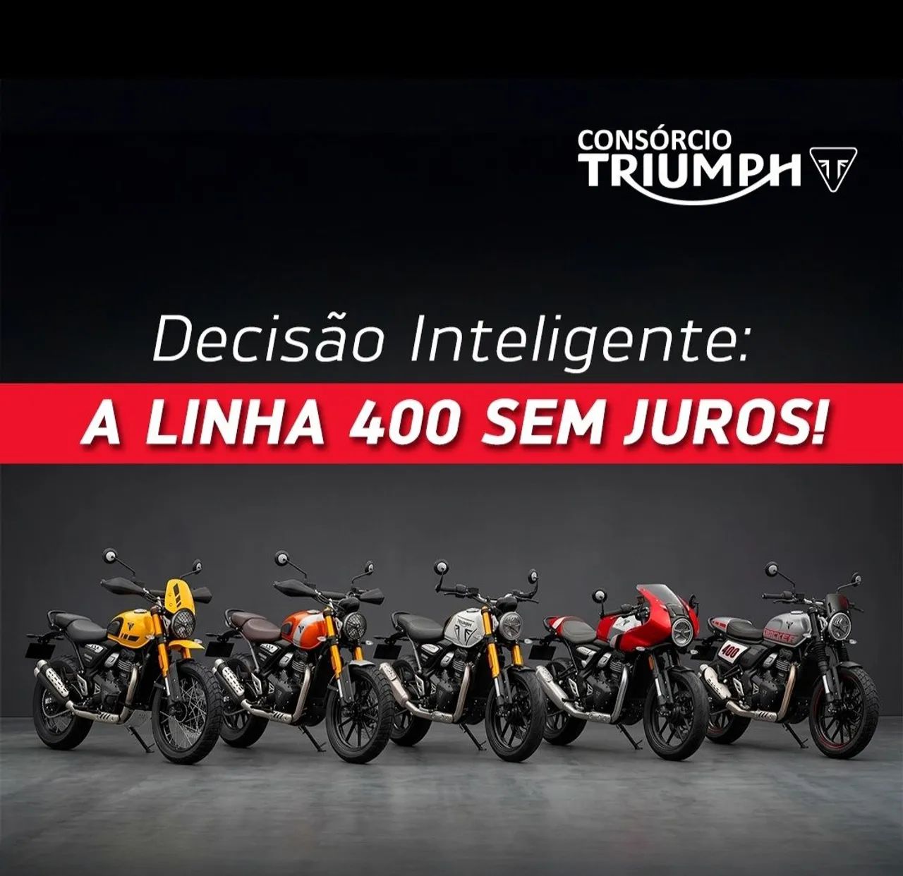 Triumph  - Foto 4