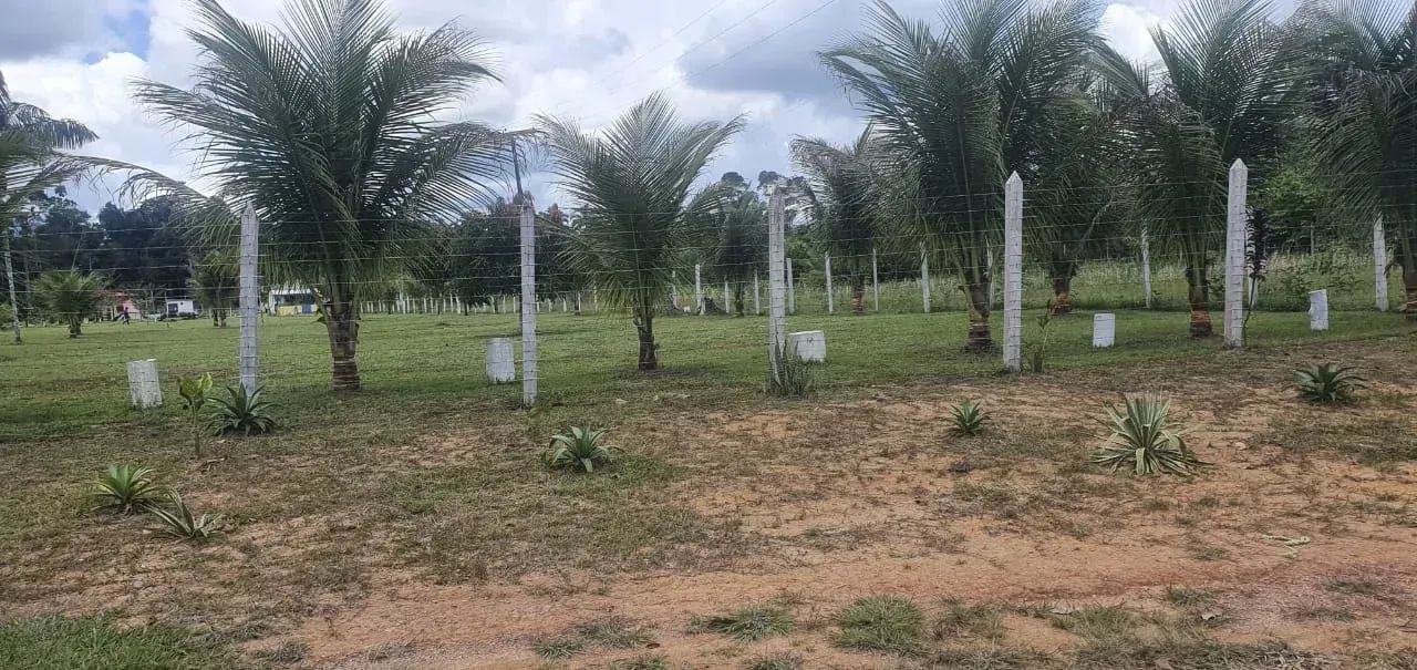 Vendo Sítio na AM-010 KM 53/ Com Piscina e Casa com 3 Suítes - Foto 3