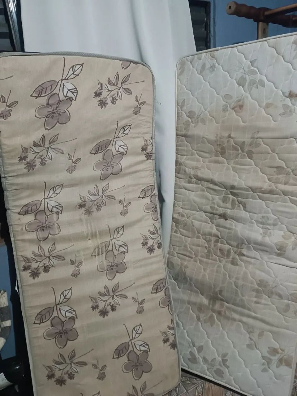Cama 