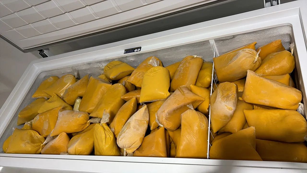 Poupas de frutas - Foto 3
