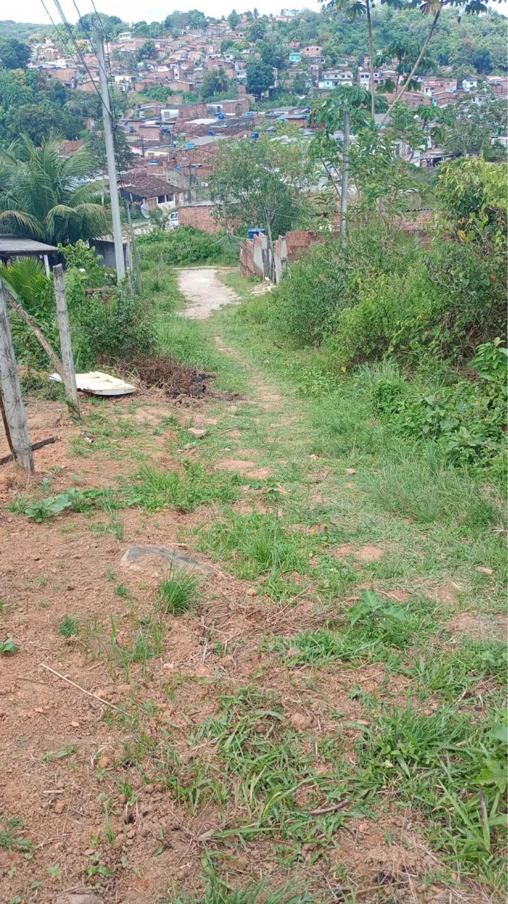 Vão pra vende junto com terreno 