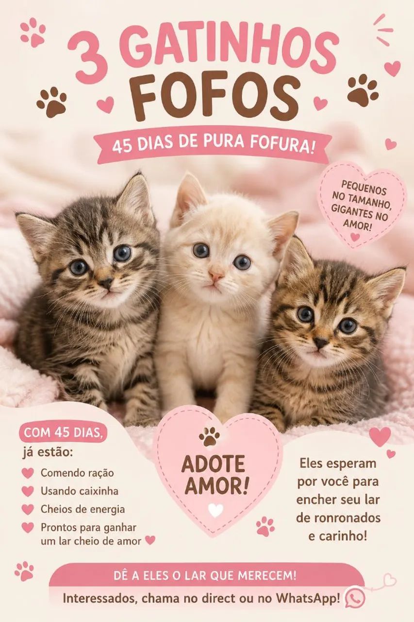 Doação responsável 
