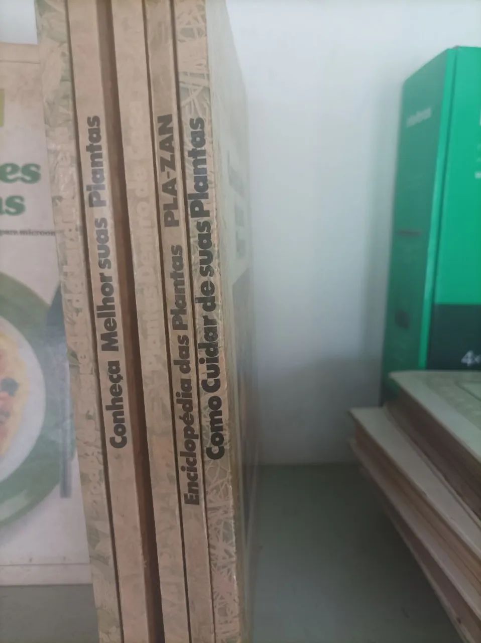Como cuidar de suas plantas  - Foto 4