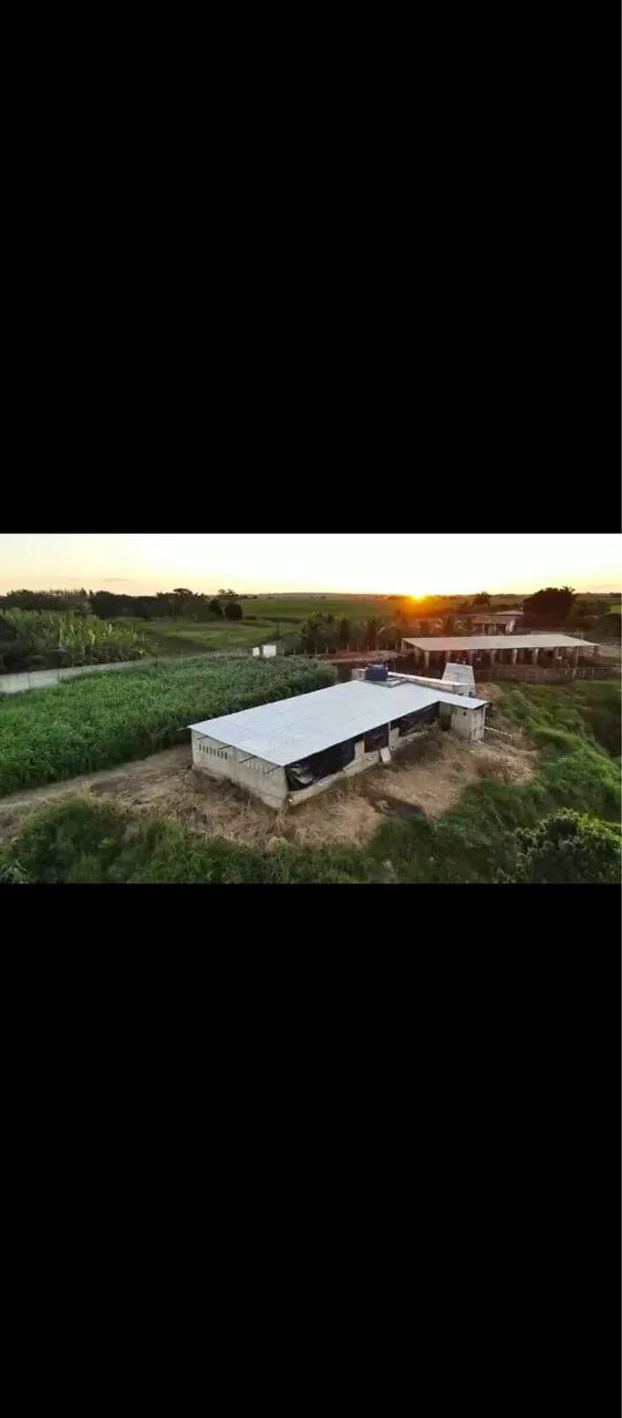 Terreno povoado fazendinha - Foto 4